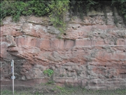 DSCF1408