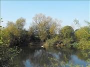 DSCF1414