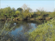 DSCF1417