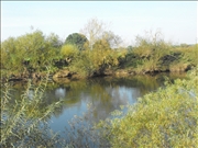 DSCF1418