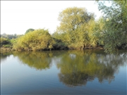 DSCF1419