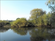 DSCF1420