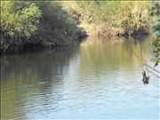 DSCF1421
