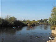 DSCF1422