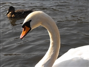 DSCF1425
