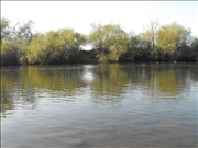 DSCF1437