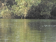 DSCF1438