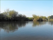 DSCF1442