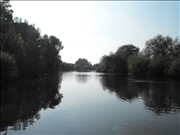 DSCF1447