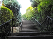 DSCF1448